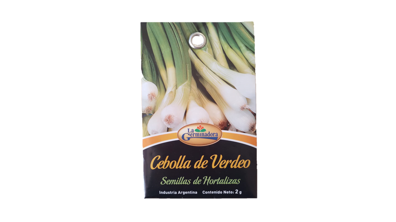 SEMILLA DE CEBOLLA DE VERDEO